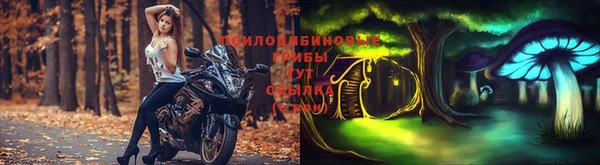 apvp Алексеевка