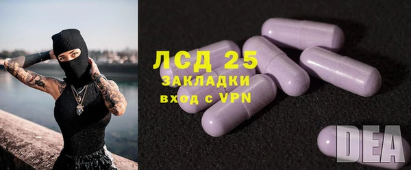 молекула духа Арсеньев