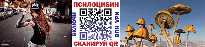 Псилоцибиновые грибы Psilocybe  купить наркотик  omg сайт  Бабаево 